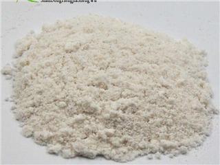 益生菌代加工山東恒佳生物