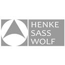 德國SASS.Wolf 內窺鏡
